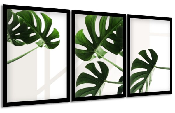 Sada plakátů Krásná zeleň - 3 dílná Barva rámu: Černá, Velikost: 99 x 45 cm