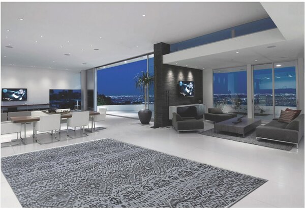 Diamond Carpets India, Ručně vázaný kusový koberec Diamond DC-EKT L silver/black, 120x170, šedá, chodba / předsíň