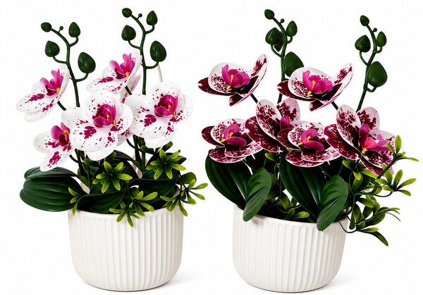 Umělá květina, orchidej Phalaenopsis, sada 2 ks, výška 38 cm, plast, bílá/vínová, Dekorino UK20260030