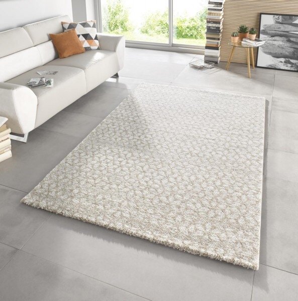 Mint Rugs - Hanse Home koberce Kusový koberec Stella 102604 ROZMĚR: 120x170