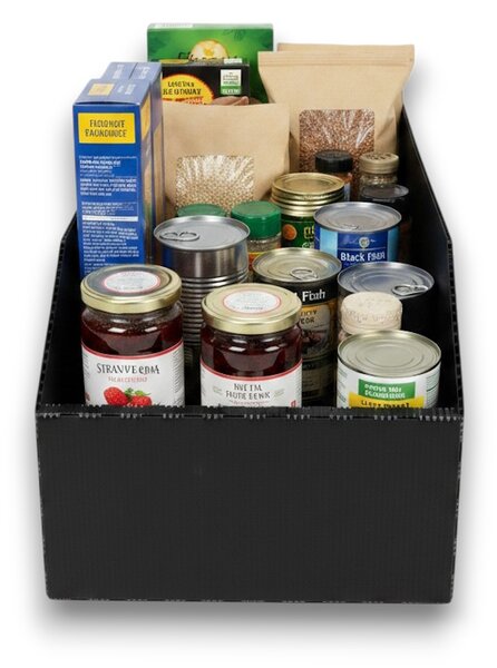 Usporadejto.cz Úložný box, plastový 20x50x16cm - do spíže i do skříně KARTONPLAST - ČERNÝ