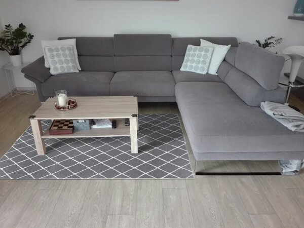 Hanse Home, Kusový koberec Twin-Wendeteppiche 103118 grau creme – na ven i na doma, 80x150, šedá, chodba / předsíň