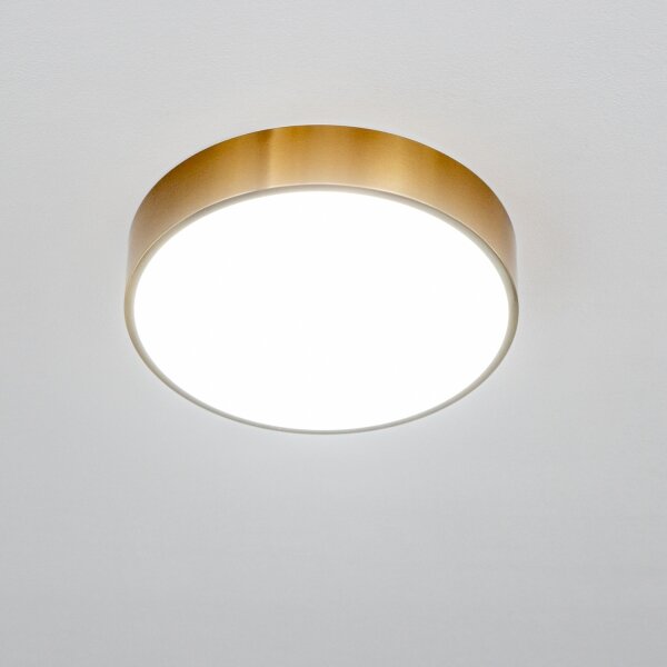 Brilagi - LED Koupelnové stropní svítidlo POOL LED/24W/230V pr. 30 cm IP54 bronz
