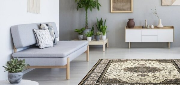Berfin Dywany, Kusový koberec Anatolia 5328 K (Cream), 150x230, hnědá, kancelář