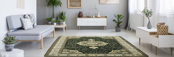 Berfin Dywany, Kusový koberec Anatolia 5328 Y (Green), 100x200, zelená, kancelář