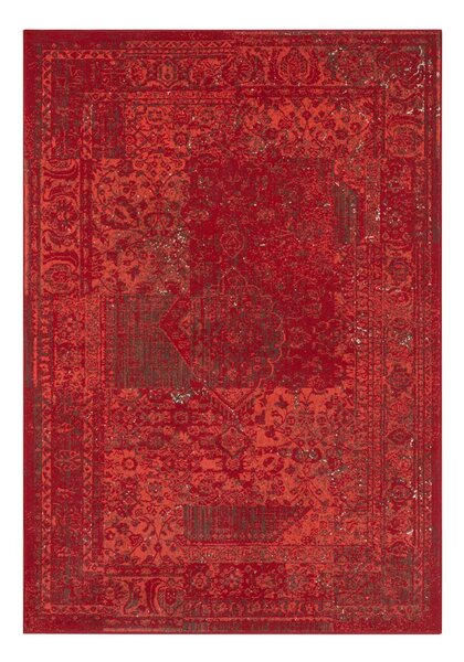 Hanse Home Collection koberce Kusový koberec Celebration 103467 Plume Red ROZMĚR: 120x170