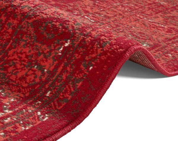 Hanse Home, Kusový koberec Celebration 103467 Plume Red, 80x150, červená, chodba / předsíň