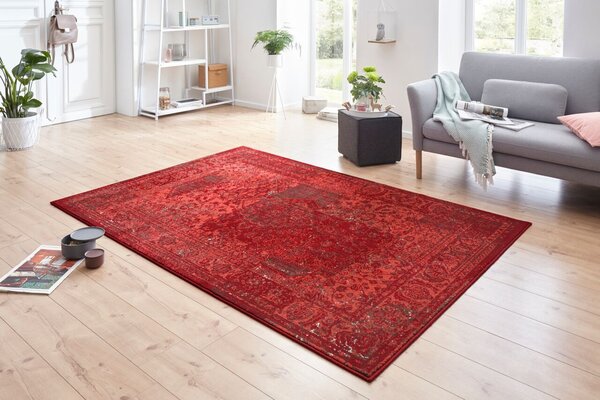 Hanse Home, Kusový koberec Celebration 103467 Plume Red, 80x150, červená, chodba / předsíň