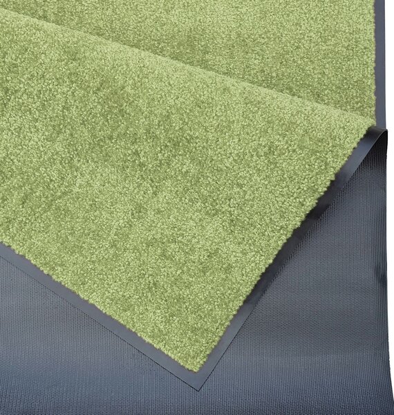 Hanse Home, Rohožka Wash & Clean 101470 Green, 40x60, zelená, chodba / předsíň