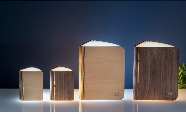 Světelná dekorace na USB v přírodní barvě Booklight – Gingko