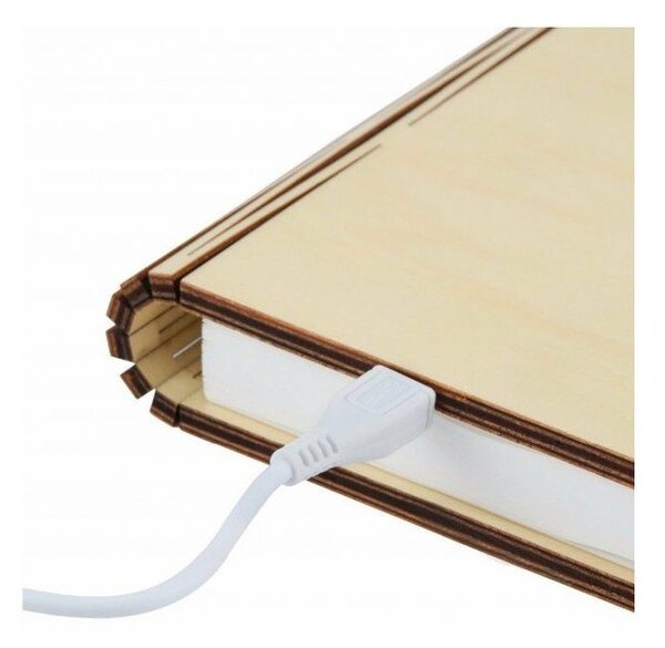 Světelná dekorace na USB v přírodní barvě Booklight – Gingko