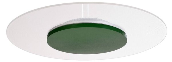 Stropní svítidlo Zaniah LED, 360° světlo, 24 W, zelené