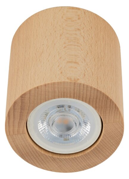 Stropní svítidlo TK 10121 EVE GU10