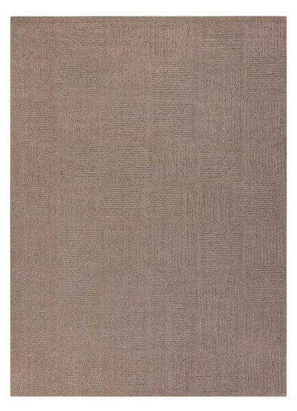 Koberec TEXTURA 488.20.LA600 Osta hnědý