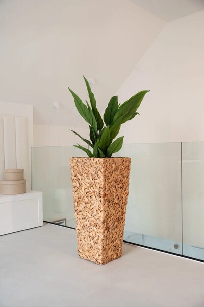 Květináč WILD, vodní hyacint, výška 80 cm, natur