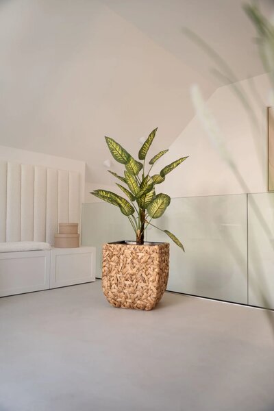 Květináč WILD, vodní hyacint, výška 50 cm, natur