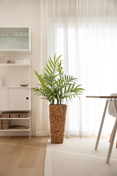 Květináč WILD, vodní hyacint, výška 60 cm, natur