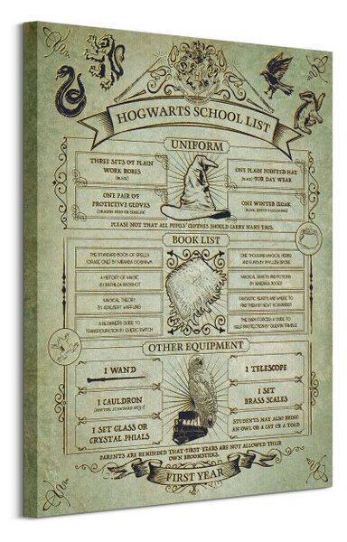 Art Group Obraz na plátně Harry Potter (Hogwarts School List) Velikost: 60 x 80 cm