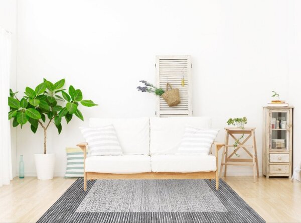 Berfin Dywany, Kusový koberec Vals 8001 Grey, 200x290, šedá, kancelář