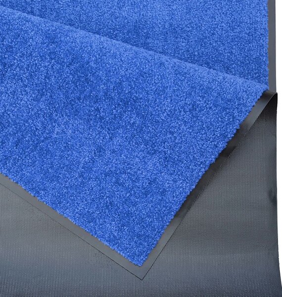 Hanse Home, Rohožka Wash & Clean 103837 Blue, 40x60, modrá, chodba / předsíň