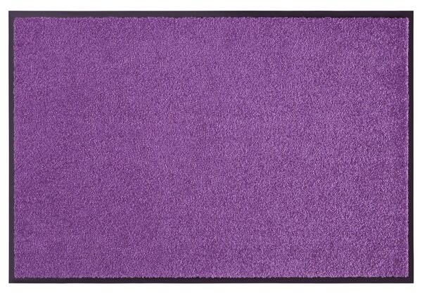 Hanse Home Collection koberce Rohožka Wash & Clean 103838 Violett ROZMĚR: 60x180