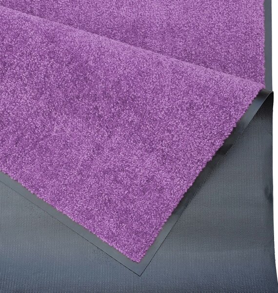 Hanse Home Rohožka Wash & Clean 103838 Violett - na ven i na doma - 60x90 cm
