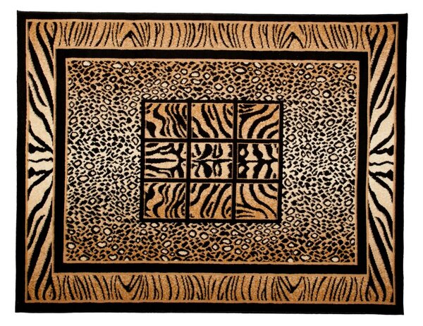 Makro Abra Kusový koberec ATLAS 6600A černý Rozměr: 250x300 cm