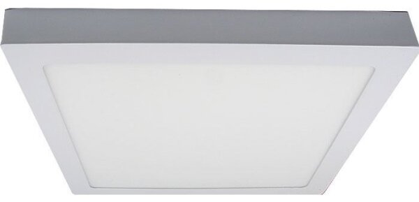 LED Stropní svítidlo LED/24W/230V 3000K
