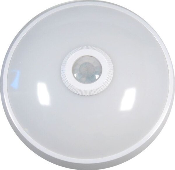 LED Stropní svítidlo se senzorem LED/12W/230V