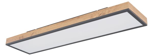 Globo 416080WD4-CCT - LED Stmívatelné stropní svítidlo DORO LED/24W/230V + DO