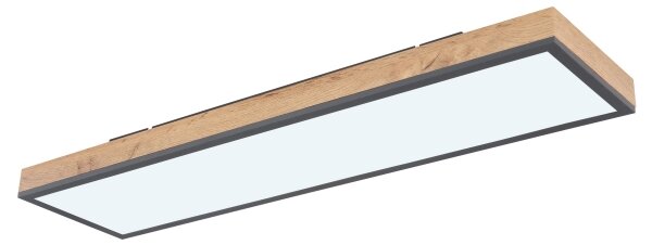Globo 416080WD4-CCT - LED Stmívatelné stropní svítidlo DORO LED/24W/230V + DO