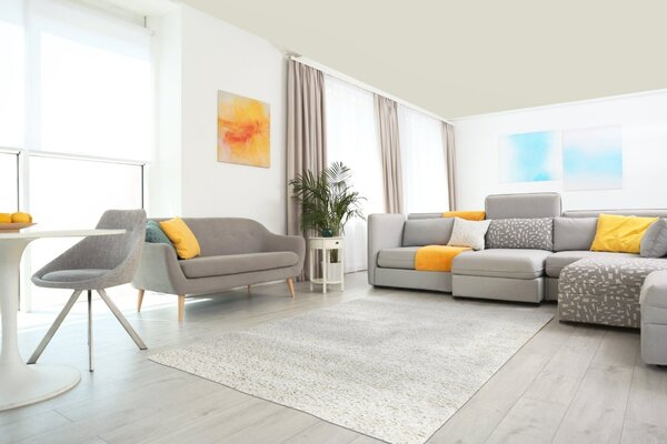 Mono Carpet, Kusový koberec Efor Shaggy 2137 Cream, 80x150, bílá, ložnice