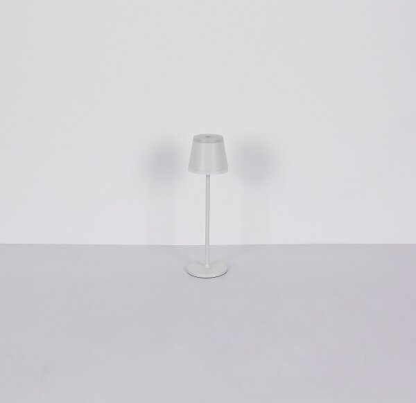 Globo 58433W - LED Stmívatelná dotyková stolní lampa RIDLEY LED/4,6W/230V IP54