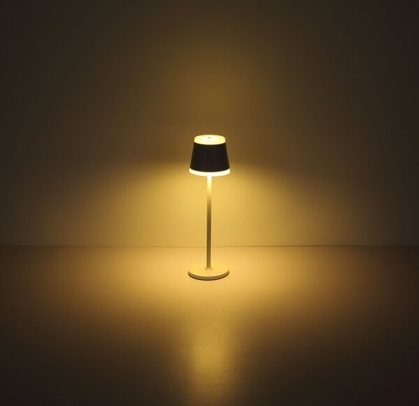 Globo 58433W - LED Stmívatelná dotyková stolní lampa RIDLEY LED/4,6W/230V IP54