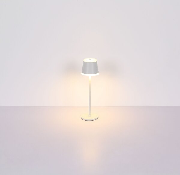 Globo 58433W - LED Stmívatelná dotyková stolní lampa RIDLEY LED/4,6W/230V IP54