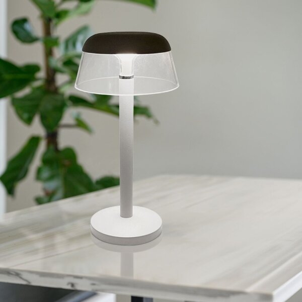 LED Stm. nabíjecí dotyková stolní lampa LED/3W/5V 3000-6000K bílá
