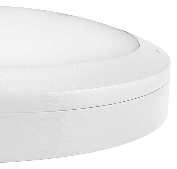 BIG WHITE SLV OUTDOOR BULKHEAD V 360 20W 830/840/856 IP65 IK10 bílé 1008833