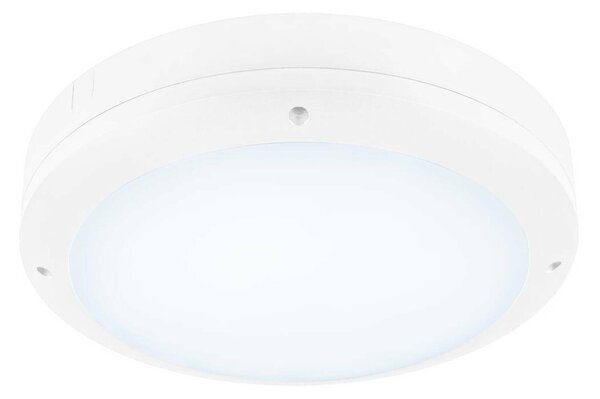 BIG WHITE SLV OUTDOOR BULKHEAD V 360 20W 830/840/856 IP65 IK10 bílé 1008833