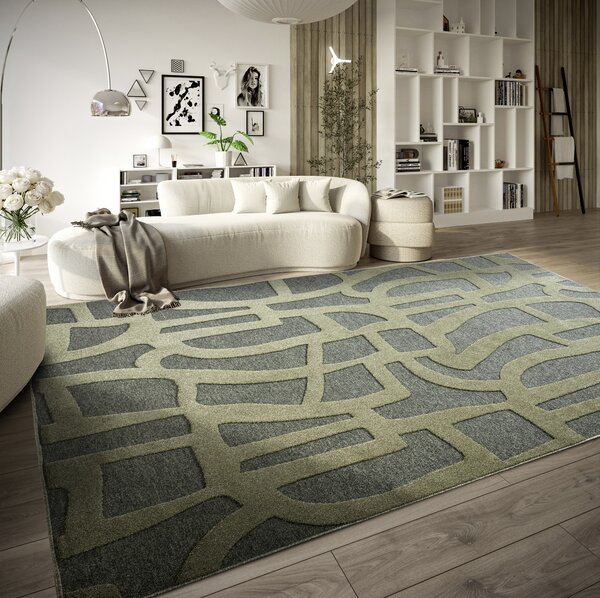 Villeroy & Boch, Kusový koberec Villeroy & Boch 106141 Green, 160x230, zelená, ložnice