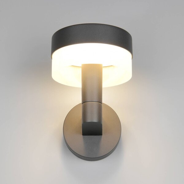 Trio Lighting LED venkovní nástěnné svítidlo Mackenzie, antracit, tlakově litý hliník, Černá, Hliník, Moderní
