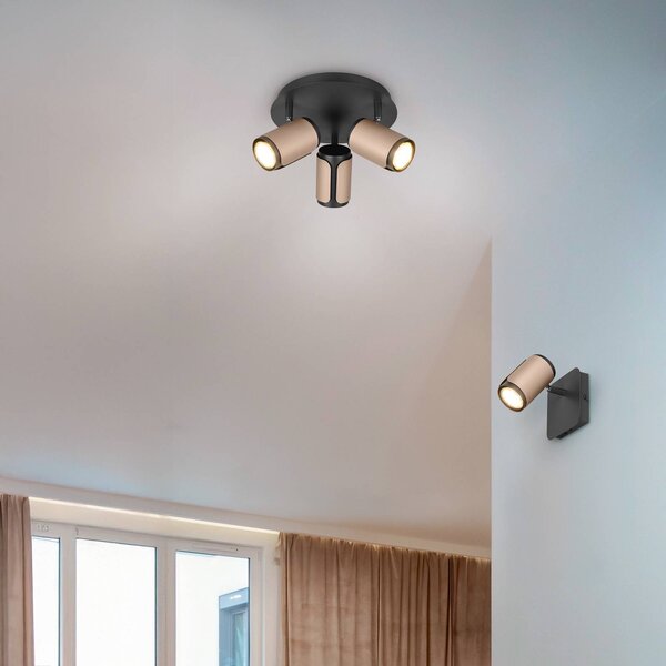 Trio Lighting Stropní bodové světlo Gillan, coffee, 3 žárovky, kulaté, kov, GU10, stmívatelný, Černá, Obývací pokoj / jídelna, kov, Moderní