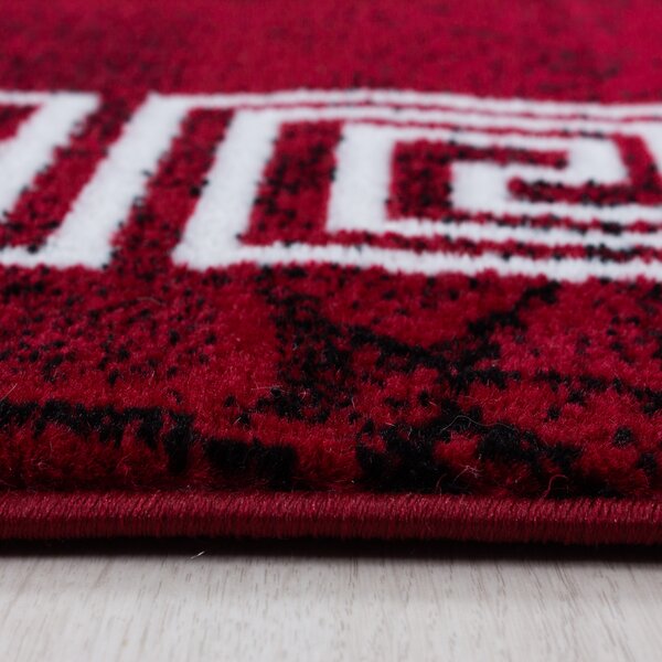 Ayyildiz, Kusový koberec Plus 8009 red, 80x150, červená, obývací pokoj