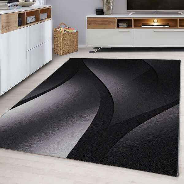 Ayyildiz, Kusový koberec Plus 8010 black, 120x170, černá, chodba / předsíň