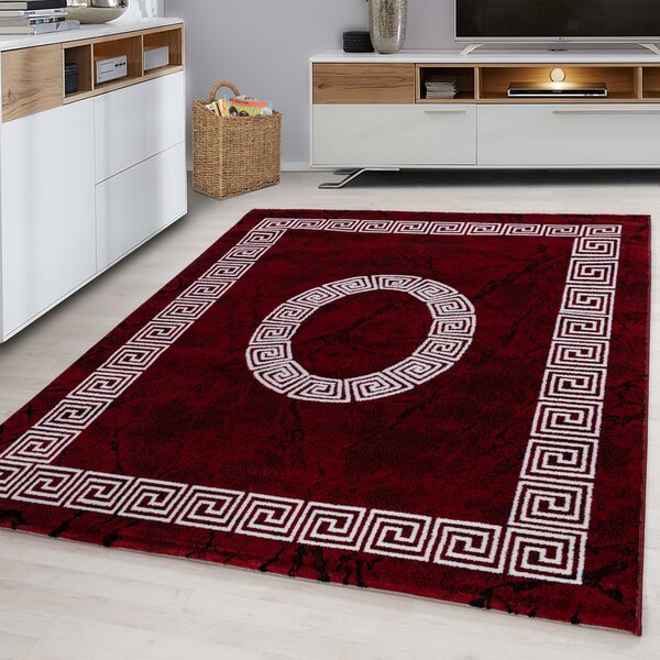 Ayyildiz, Kusový koberec Plus 8009 red, 80x150, červená, obývací pokoj