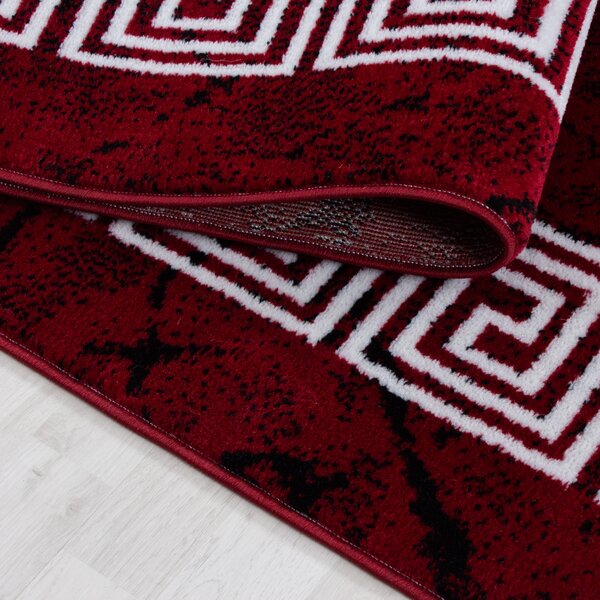 Ayyildiz, Kusový koberec Plus 8009 red, 80x150, červená, obývací pokoj