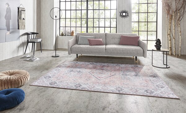 Hanse Home, Kusový koberec Asmar 104009 Old/Pink, 80x150, růžová, obývací pokoj