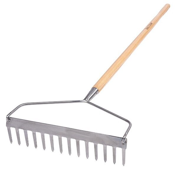 Hrábě jasanové