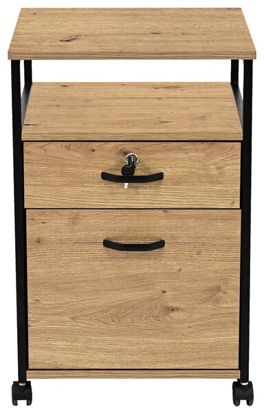 POJÍZDNÝ KONTEJNER, 43/66/45 cm Carryhome