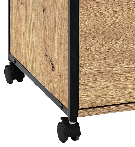 POJÍZDNÝ KONTEJNER, 43/66/45 cm Carryhome