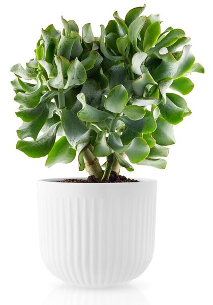 EVA SOLO Porcelánový květináč Legio Nova - 15,5 cm ESL207